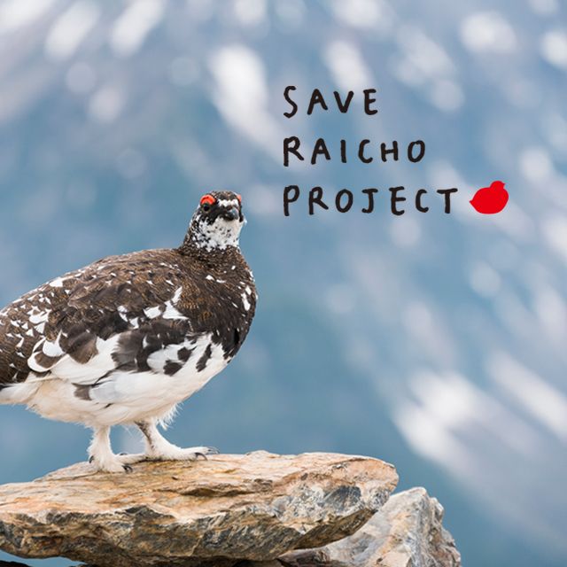 大人女子におすすめ！刺繍ワンピースの魅力 | marble SUD マーブルシュッド 